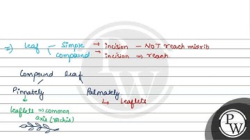 Directions: In the question two statements are given as statement-I and statement-II. Mark the c...