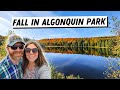 Fall Drive Through Algonquin Provincial Park | Fall Colours and Scenery