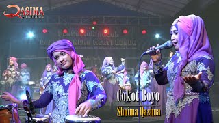 COKOT BOYO | Shoima QASIMA | SLEMAN | 2019