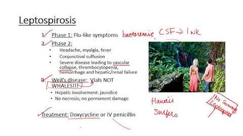 Leptospirosis