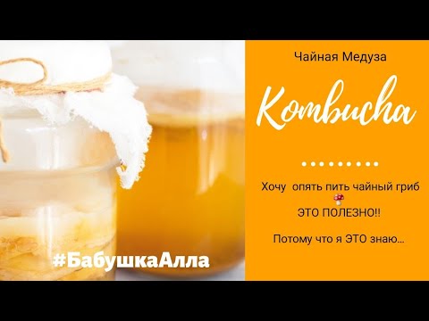 КАК ВЫРАСТИТЬ  ЧАЙНЫЙ ГРИБ С НУЛЯ/ Kombucha/Первые шаги