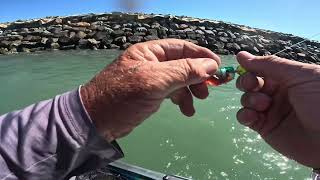 Couple of quick hours in the bay and river. Townsville.
