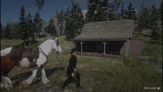 Red Dead Redemption 2_20240427162132