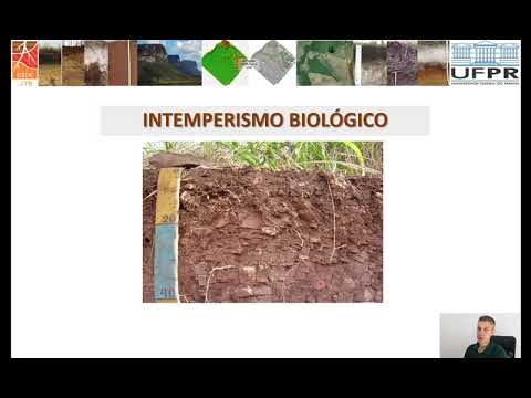 Vídeo: O que é intemperismo com sal?