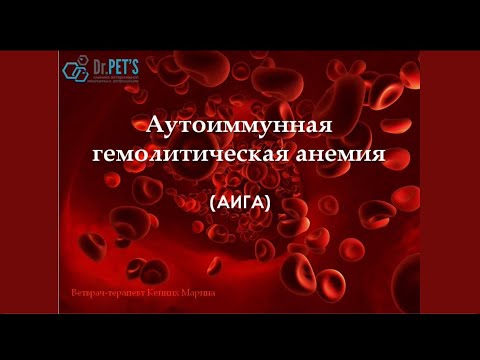 Аутоиммунная гемолитическая анемия (АИГА)