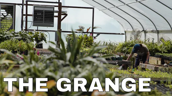 The Grange with Jill Forrester