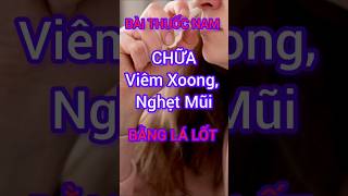 Bài Thuốc Nam Chữa Viêm Xoong, Nghẹt Mũi Bằng Lá Lốt #dinhduong #health #suckhoe