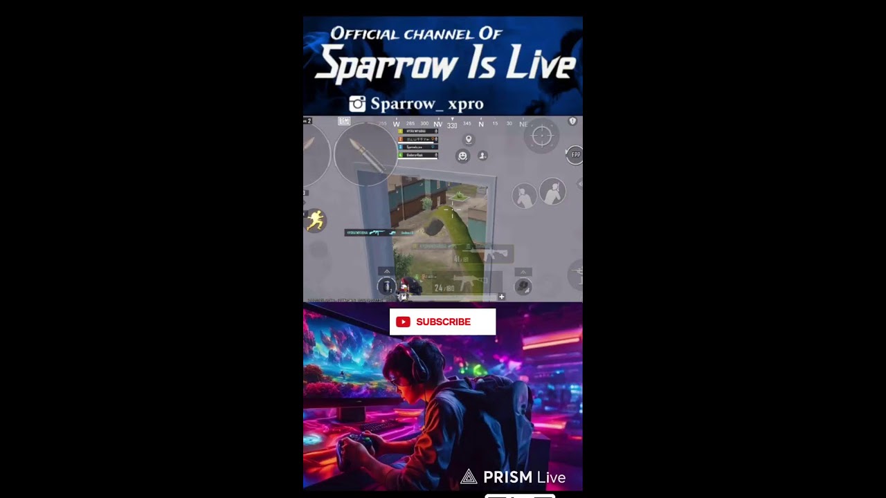 Live streaming of Sparrow Is Live