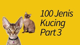 100 Jenis Kucing di Seluruh Dunia! Part 3 by MeowCitizen 10,159 views 3 years ago 9 minutes, 5 seconds