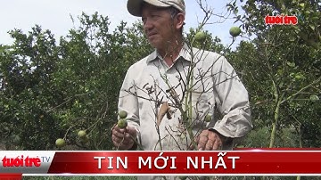 ⚡ Phóng sự | Trái đắng của việc lạm dụng phân thuốc hóa học