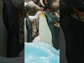 Wildlife on Climate Change Frontlines