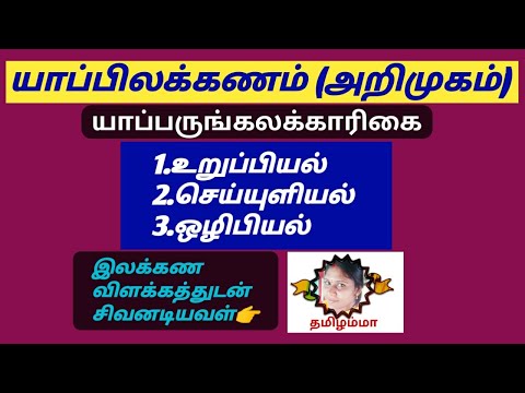 யாப்பிலக்கணம் (அறிமுகம்) |யாப்பருங்கலக் காரிகை | பிஜி டிஆர்பி தமிழ் யூனிட்- 3