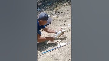 Câu cá mè đập thiên nhiên Bà Rịa Vũng Tàu #trumcauca #shorst #câu