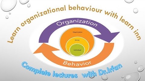 organizational behavior(lecture 1)