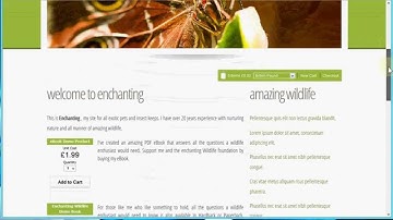 PaymentSense shopping cart checkout ShopIntegrator demo