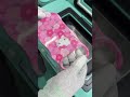 TUOLI TLX9 Sublimation Heat Press Machine For Phone Case Customization Print
