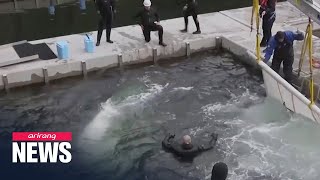 Two beluga whales transported from captivity in China to open sea sanctuary