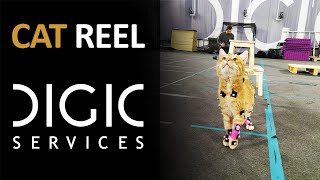 DIGIC Services - Cat Reel