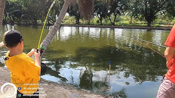 Dẫn Cậu 3 đi câu giải Mini Game hồ Đại Quang Minh. Đồ Câu Phát Tuấn✅Câu Cá và Cắm Trại