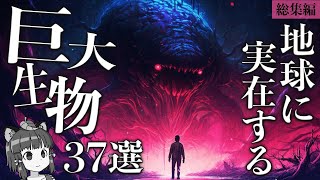 【総集編】世界に実在する信じられない巨大生物37選