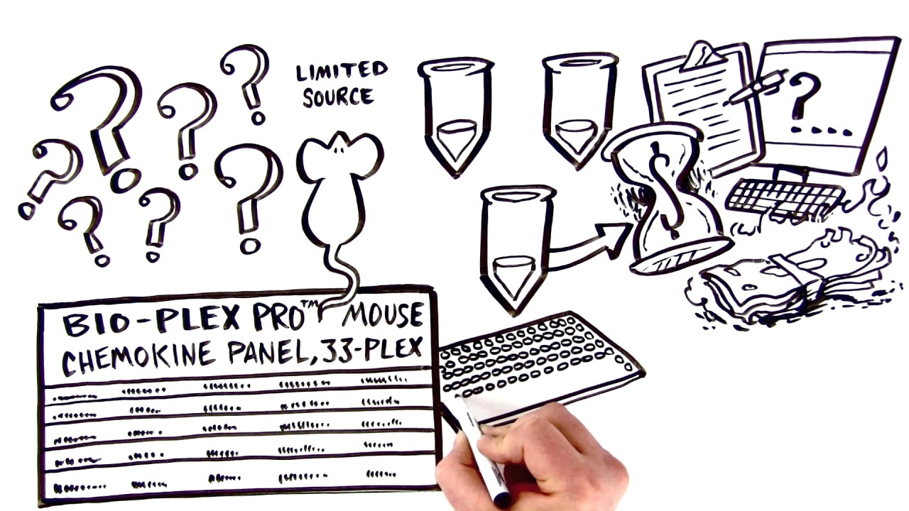 Get More Answers from Your Mouse with Bio-Plex - YouTube