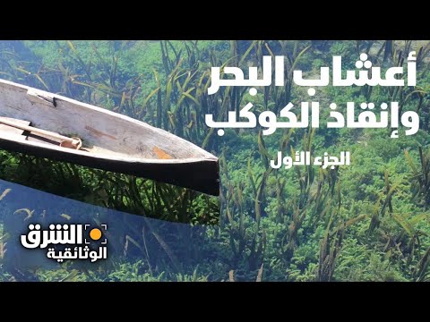 أعشاب البحر وإنقاذ الكوكب الجزء الأول الشرق الوثائقية