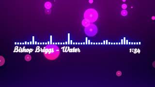 (From Grey&#39;s Anatomy SoundTrack)Bishop Briggs - Water (Audio)