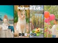 Natural lut free download  natural lut editing   vn editor  vn editor  free luts