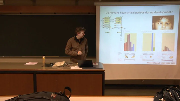 Neurobiology 3. Lec. - Refinement of Synapses and Critical Periods [5/7]