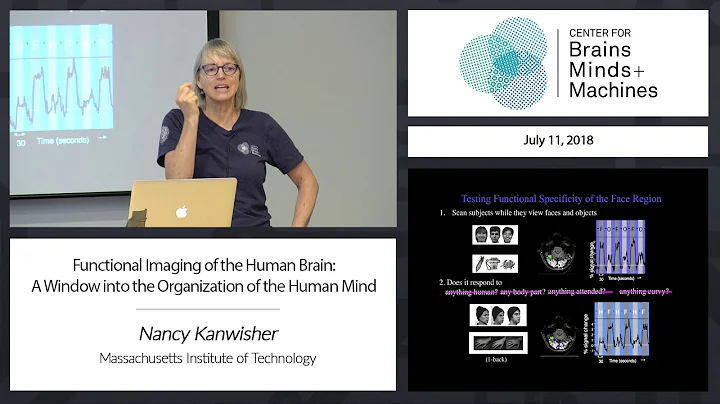 Functional Imaging of the Human Brain: A Window into the Organization of the Human Mind