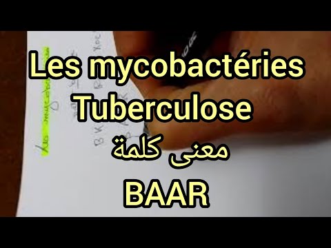 Vidéo: Où se trouve Mycobacterium tuberculosis ?