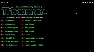 How to use TM SCANNER  for Website Vulnerability