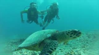 Emre Yetkin - Burcu Biricik Gili Trawangan Gezisi