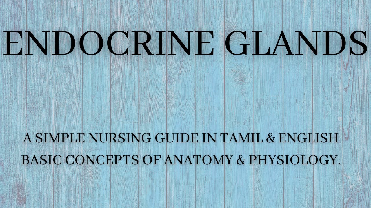 THE ENDOCRINE GLANDS {TAMIL} . A COMPLETE NURSING GUIDE FOR NURSING
