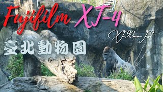 『Vlog』 臺北動物園遊記 動物生活特寫 Fujifilm XT-4 XF90mm