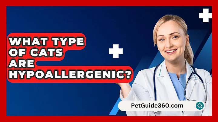 What Type of Cats Are Hypoallergenic? - PetGuide360.com