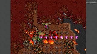 tibia bot 2019