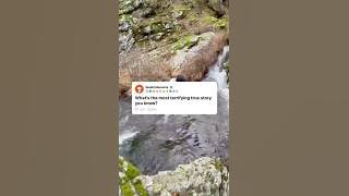 most terrifying true story 😱 👻#redditstories  #shortvideo