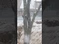 Heavy snow falling// dry spill over//#kashmir