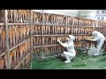 깨끗한 대량생산 공장에서 시작해 신기한 조림기계로 만드는 해물코다리조림 / korean food factory