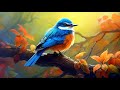 Расслабляющая музыка с пением птиц | Музыка для снятия стресса | Остановить тревогу и депрессию #5