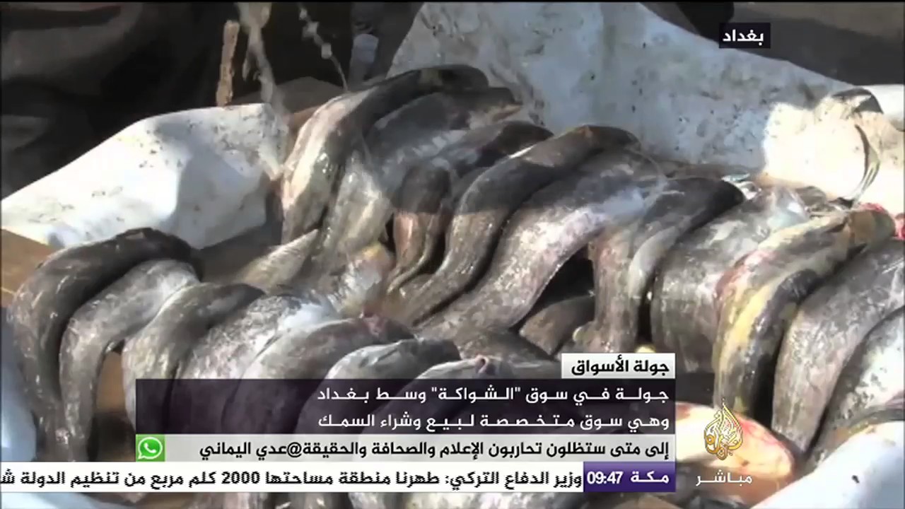 جولة في سوق 