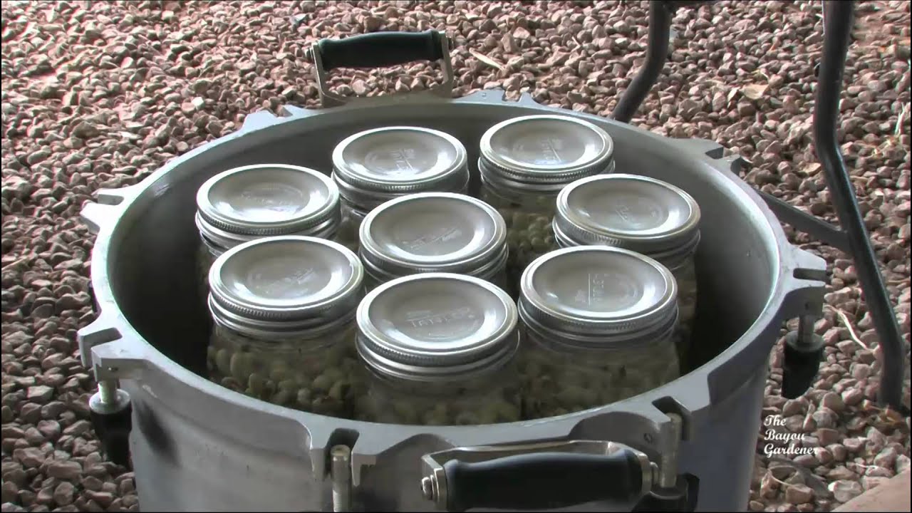 Canning Purple Hull Peas August 2011 YouTube