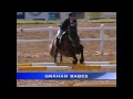 British Showjumping 2011 Best Pony Rider of the Year 1.avi