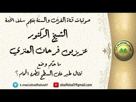 ما حكم وضع تمثال طير على السطح لطرد الحمام ؟ الشيخ الدكتور عزيز بن فرحان العنزي .