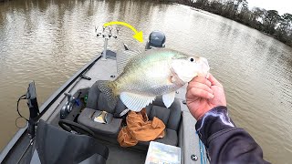 Crappie Fishing Lake Houston (Catch and Cook)