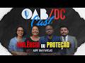 Segurança Pública e Estrutura Racial: O Debate sobre a BPF nas Favelas