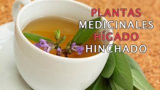 3 Plantas Medicinales para el Hígado Inflamado by Prevención es Salud 44,802 views 5 years ago 4 minutes, 5 seconds
