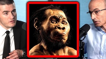 Evolution vs intelligent design | Yuval Noah Harari and Lex Fridman