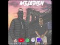 Undacava luciano  melodien  prodby  thisisyt 